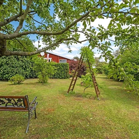 Holiday home In Schwante Mit Grill, Garten Und Terrasse Amalienfelde